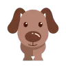 Estudos com cães